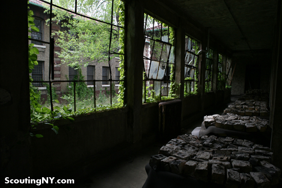 hospital complex